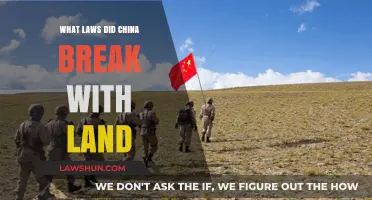 China's Land Grab: Violating International Law and Human Rights