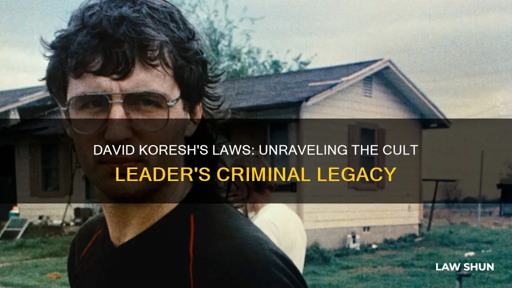 what laws did david koresh break