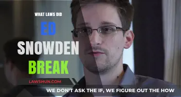 Unveiling the Laws: Snowden's Revelations and Their Impact