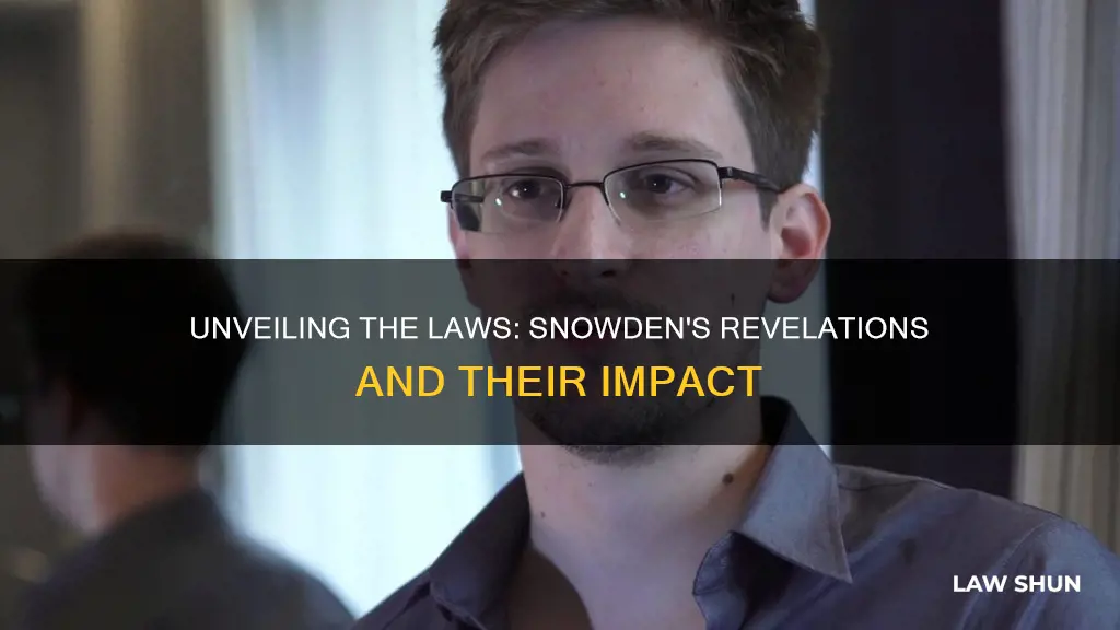 what laws did ed snowden break