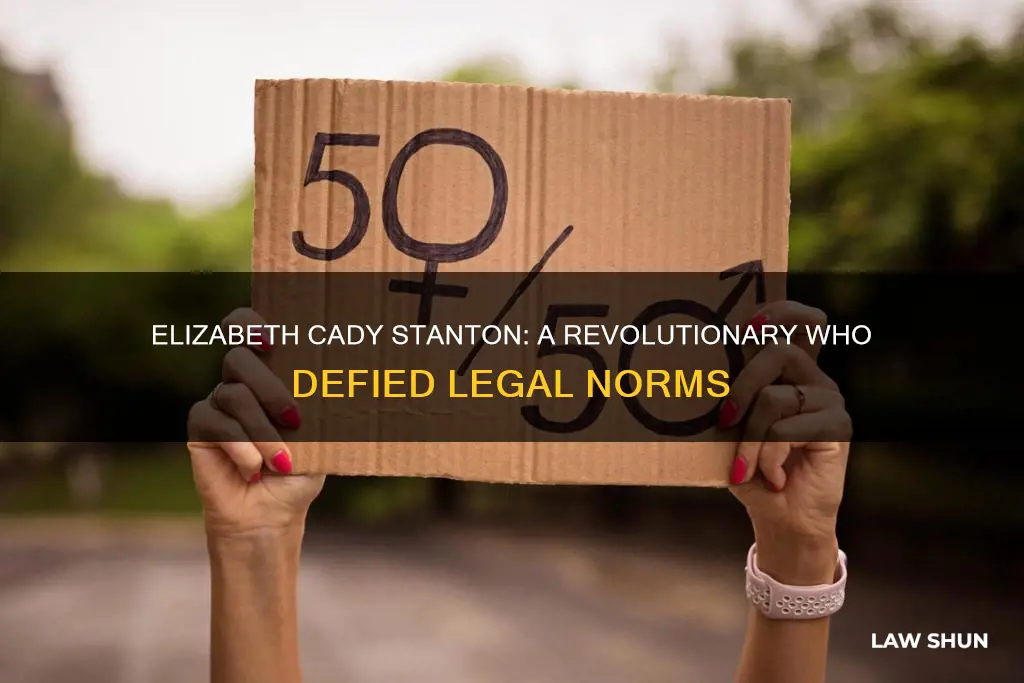 what laws did elizabeth cady stanton break