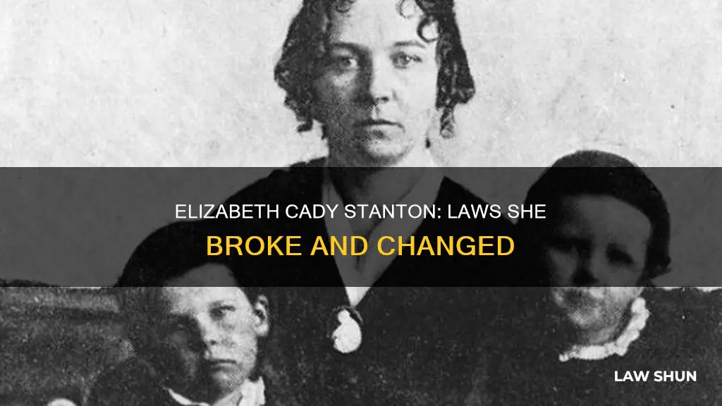 what laws did elizabeth cady stanton break