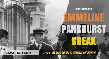 Emmeline Pankhurst's Defiance: Unraveling the Laws She Broke for Women's Rights