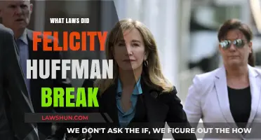 Unraveling Felicity Huffman's Legal Missteps: A Deep Dive into Her Offenses