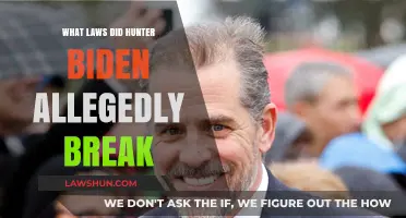 Hunter Biden's Legal Missteps: Alleged Violations and Their Impact