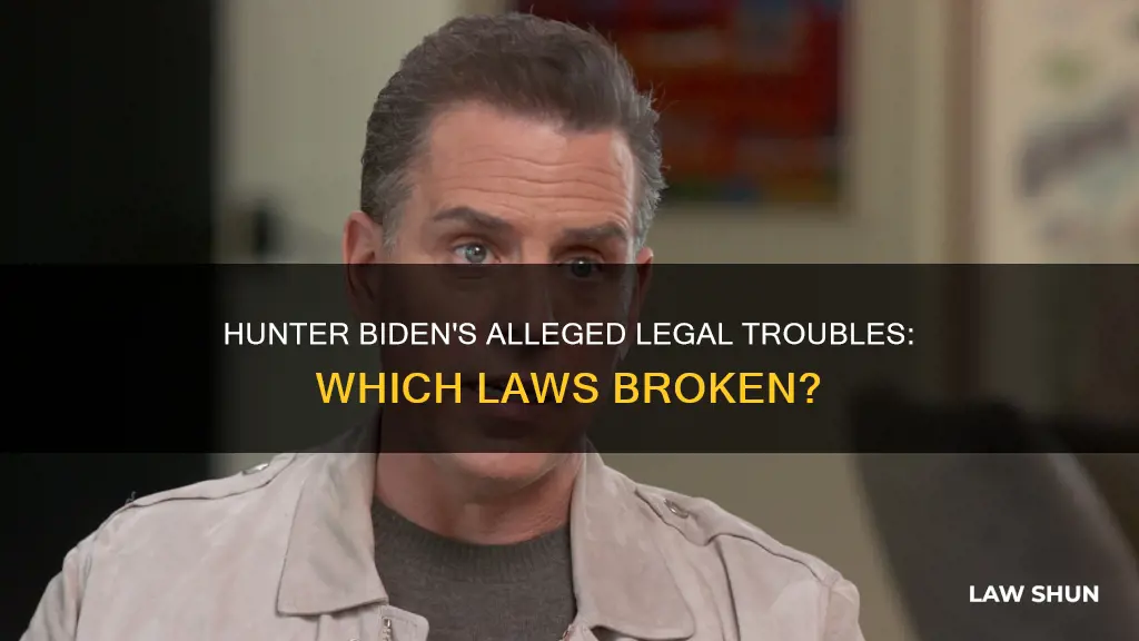 what laws did hunter biden allegedly break