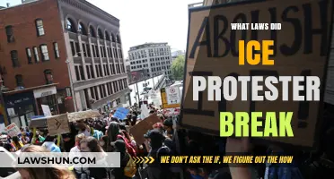 Ice Protests: Unraveling the Legal Breaches