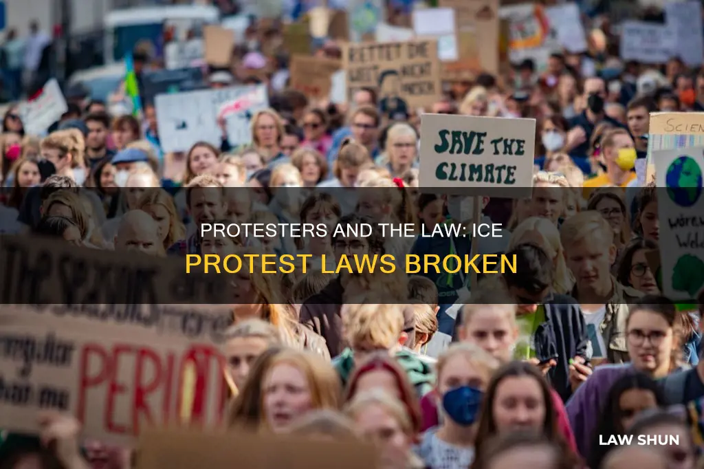 what laws did ice protester break