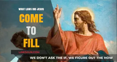 Jesus' Mission: Fulfilling the Law, Bringing New Covenant Grace