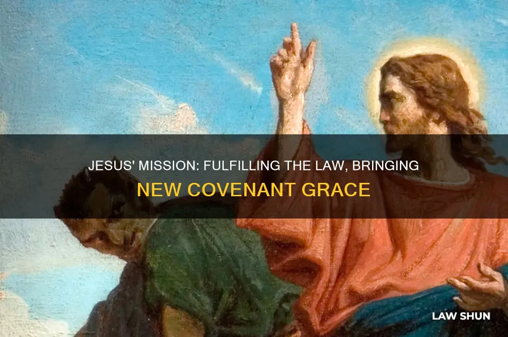 what laws did jesus come to fill