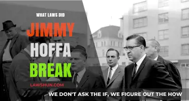 The Unraveling Mystery: Jimmy Hoffa's Legal Missteps