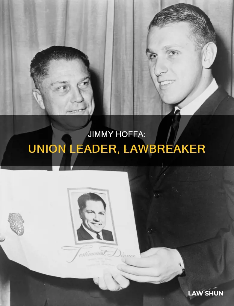what laws did jimmy hoffa break