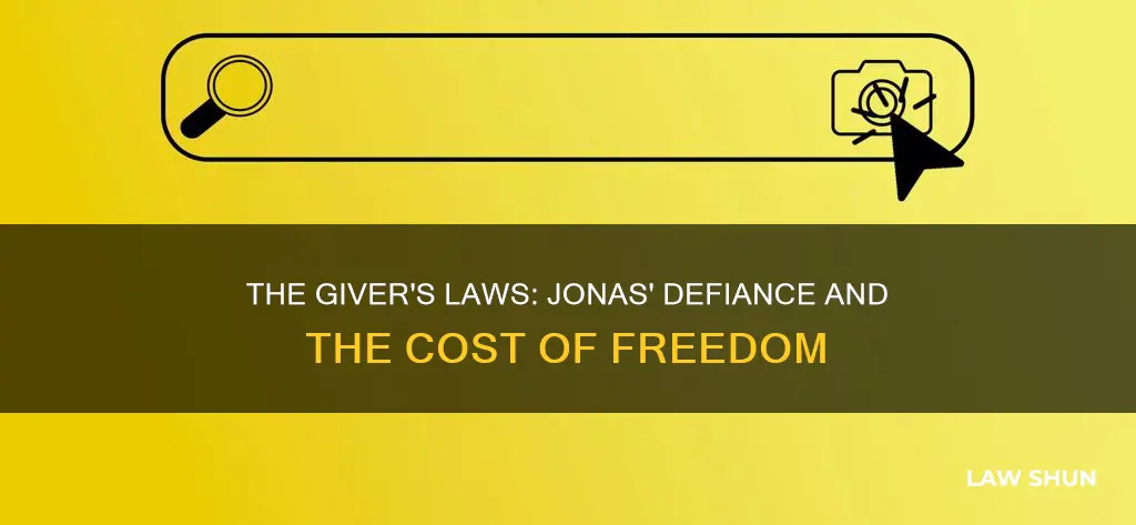 what laws did jonas break in the giver