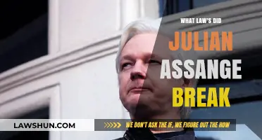 Julian Assange's Legal Missteps: Unraveling the Charges