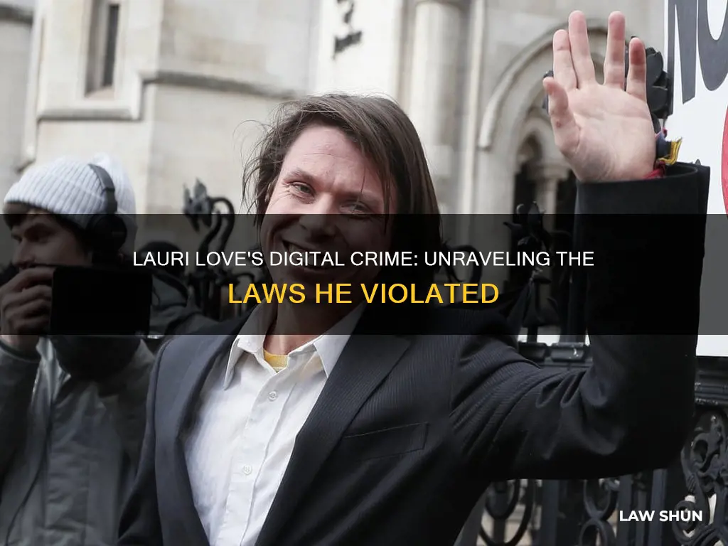 what laws did lauri love break