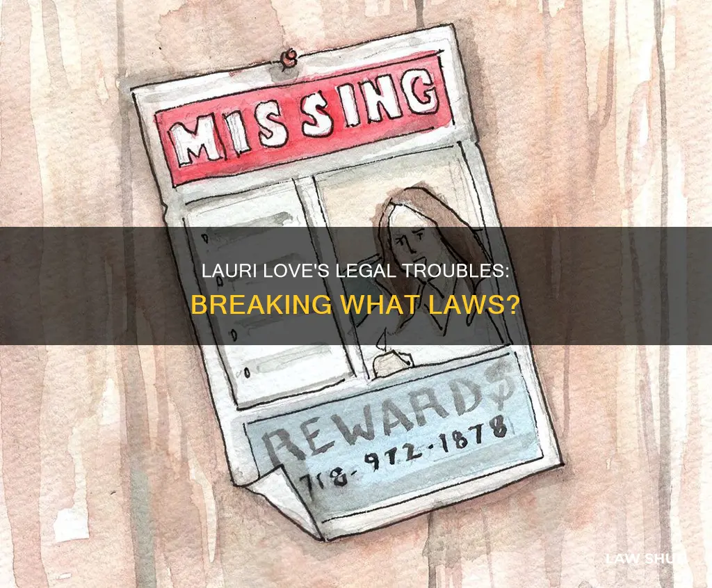 what laws did lauri love break