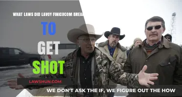 Lavoy Finicum's Laws: Unraveling the Shooting Mystery