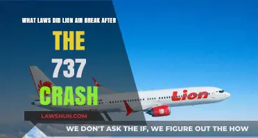 Lion Air Crash: Unraveling the Legal Breaches