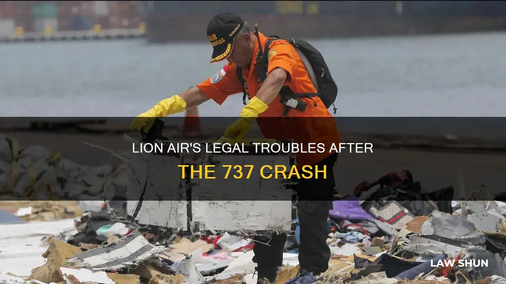 what laws did lion air break after the 737 crash