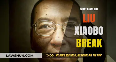 Liu Xiaobo's Political Activism: Unraveling the Charges and Consequences