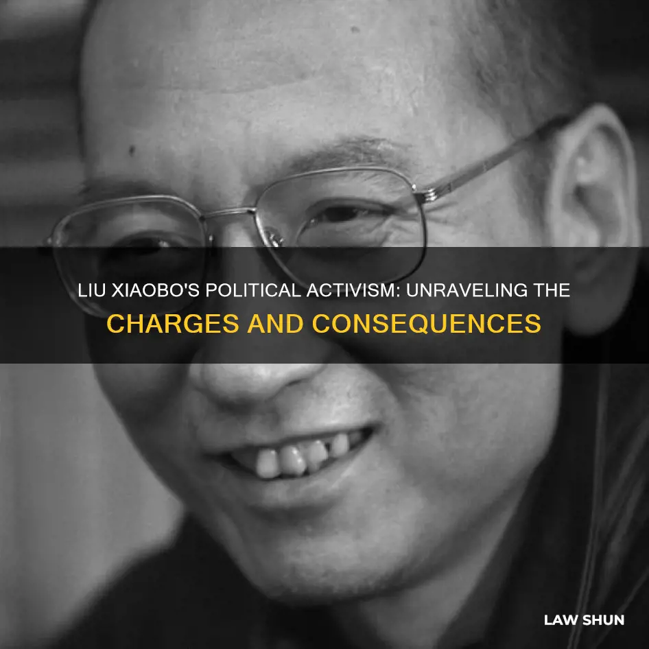 what laws did liu xiaobo break