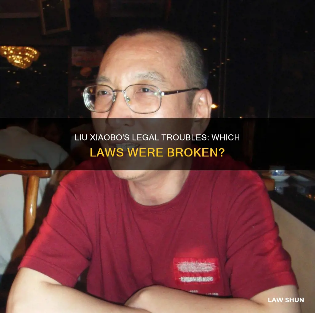 what laws did liu xiaobo break