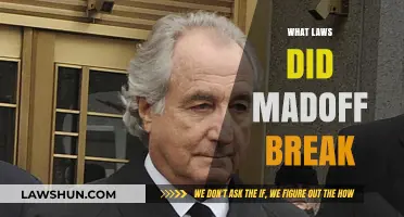 Madoff's Massive Fraud: Unraveling the Legal Web of a Financial Giant