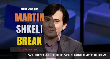 Martin Shkreli's Legal Missteps: Unraveling the Web of Fraud and Misconduct