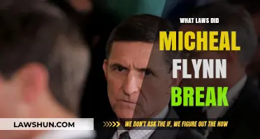 Michael Flynn's Legal Missteps: Unraveling the Web of Charges