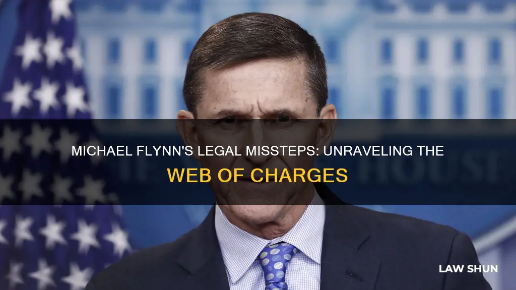 what laws did micheal flynn break