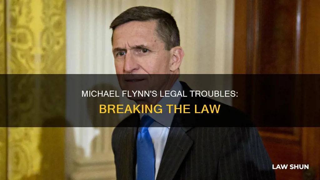 what laws did micheal flynn break