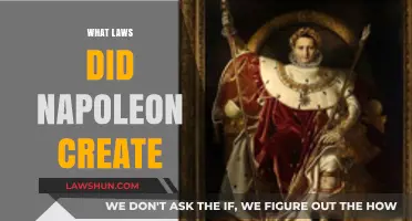 Napoleon's Legal Legacy: His Most Notable Laws