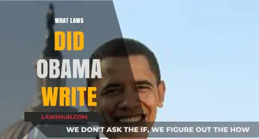 Obama's Legislative Legacy: Key Laws and Policies He Championed
