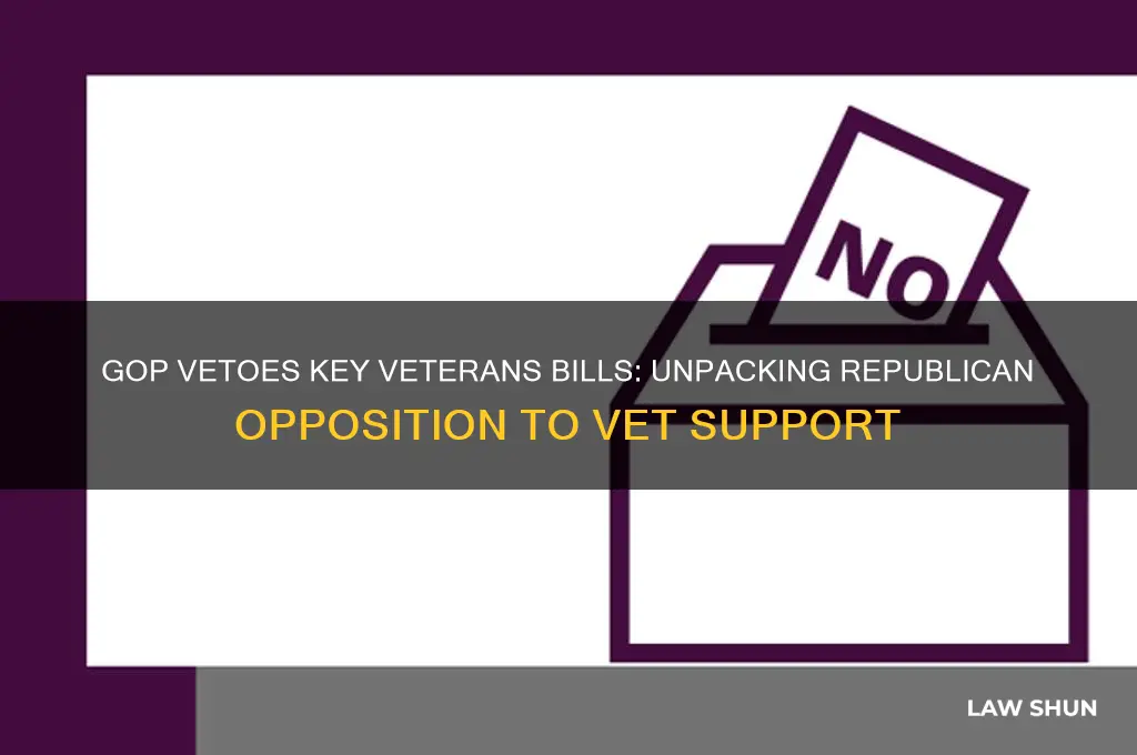 what laws did republicans vote no on concerning the vets