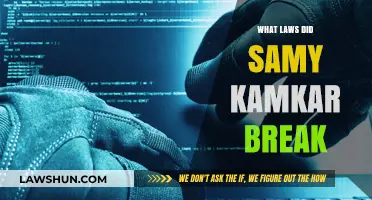 Samy Kamkar's Hacking: Unveiling the Laws Broken