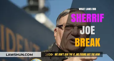 Sheriff Joe's Legal Missteps: Unraveling the Web of Allegations