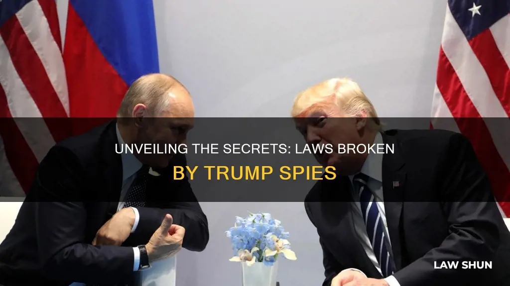 what laws did spies against trump campaign break