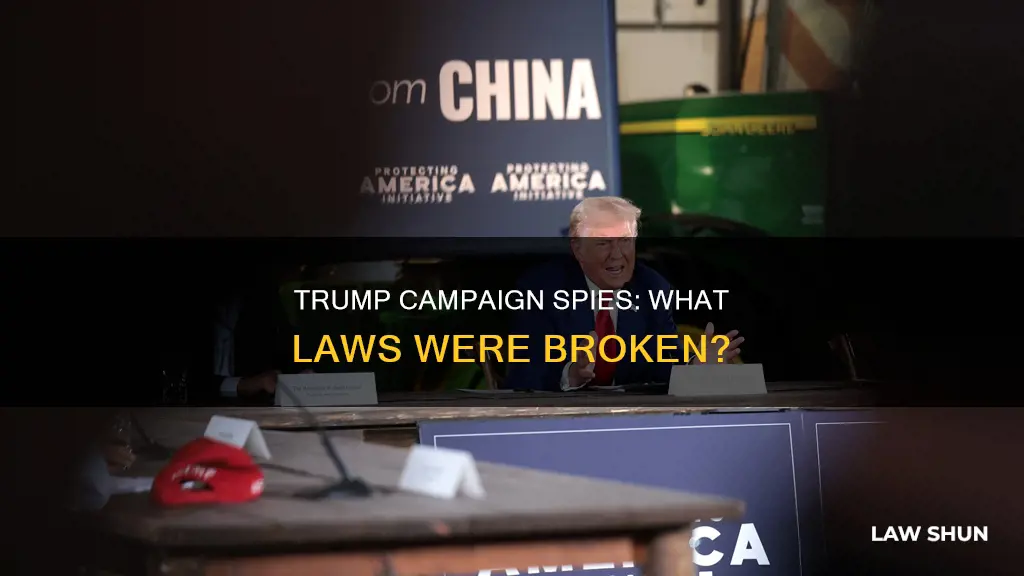 what laws did spies against trump campaign break