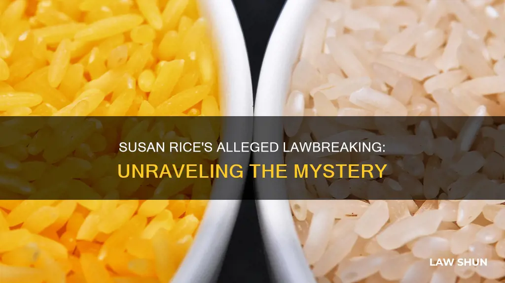 what laws did susan rice break