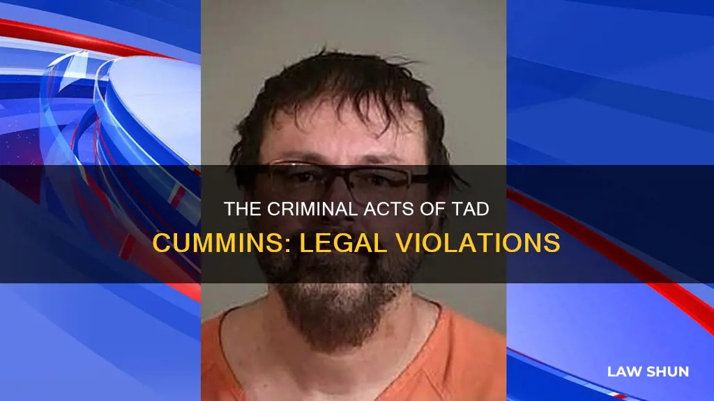 what laws did tad cummins break