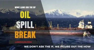 BP Oil Spill: Violations of Environmental and Safety Laws