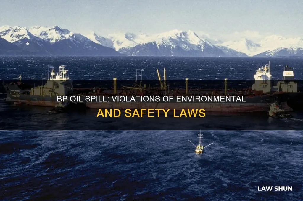 what laws did the bp oil spill break