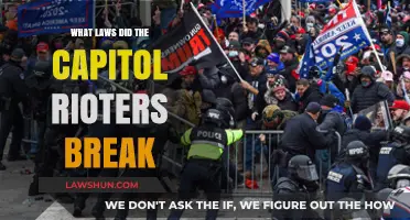 Capitol Rioters' Actions: Unraveling the Web of Violations