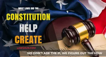 Constitutional Foundations: Laws and Their Origins