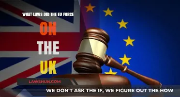 EU Laws: The UK's Binding Regulations