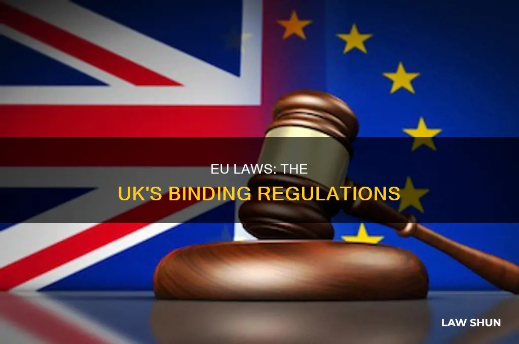 what laws did the eu force on the uk