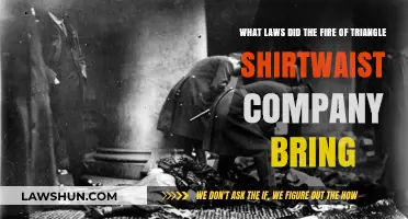 Triangle Shirtwaist Fire: Legal Reforms Sparked by the Tragedy