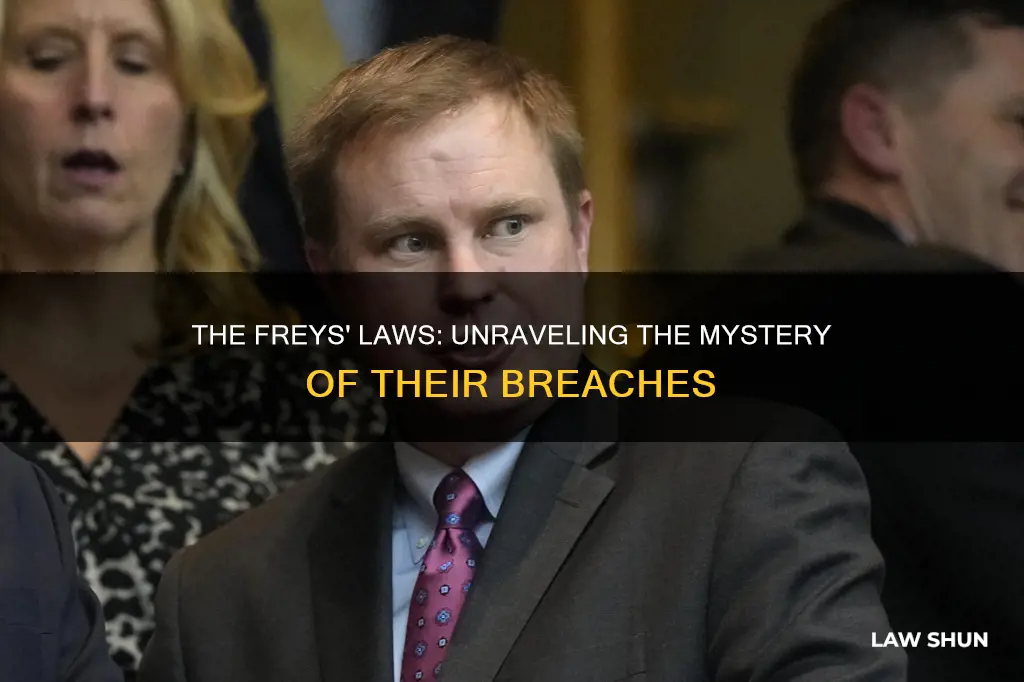 what laws did the freys break