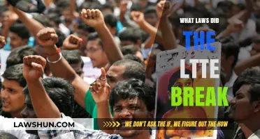 LTTE's Violations: A Deep Dive into War Crimes and Human Rights Abuses