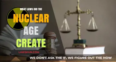 The Nuclear Age: Laws and Legacy